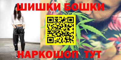 тгк Камышлов