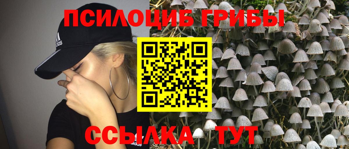 Великие Луки  Псилоцибиновые грибы мухоморы  Вход с VPN 